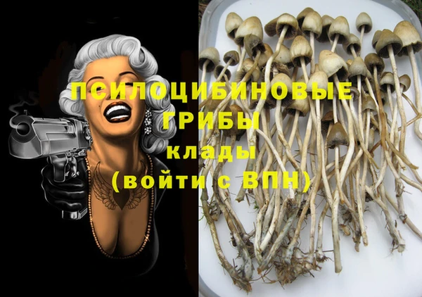винт Бронницы