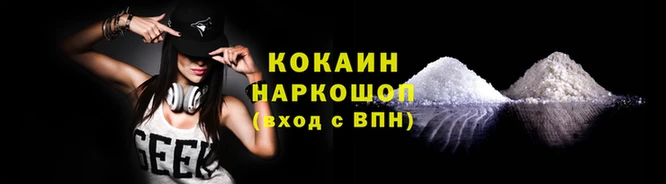 бошки Бородино