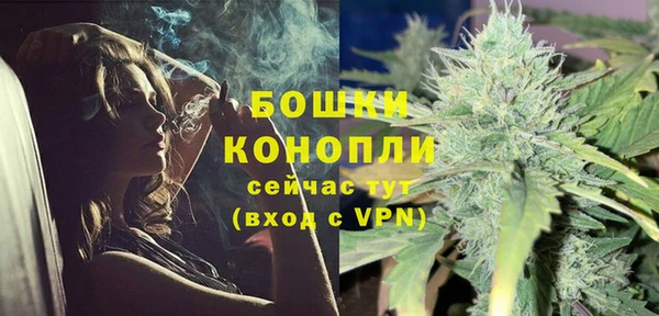 бошки Бородино