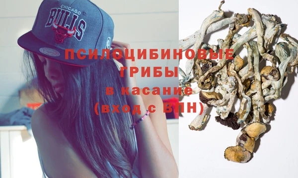 винт Бронницы