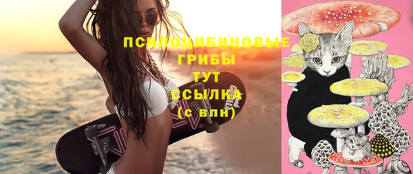 бошки Бородино