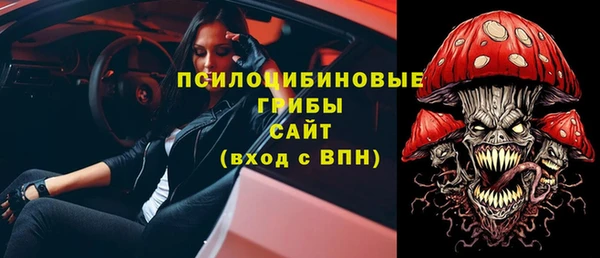 бошки Бородино